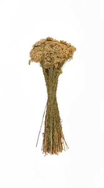 Травы для бани Woodson, тысячелистник