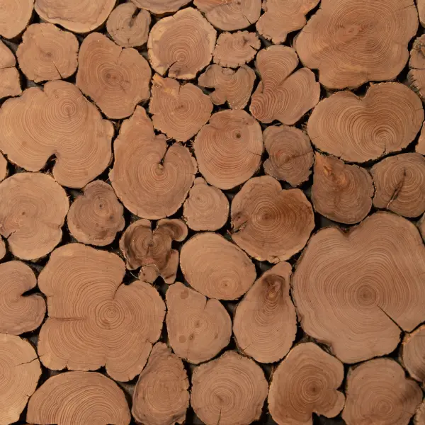 Панно с можжевельником Woodson 120*50