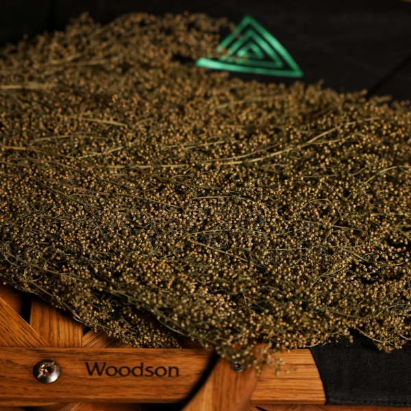 Травы для бани Woodson, полынь лимонная